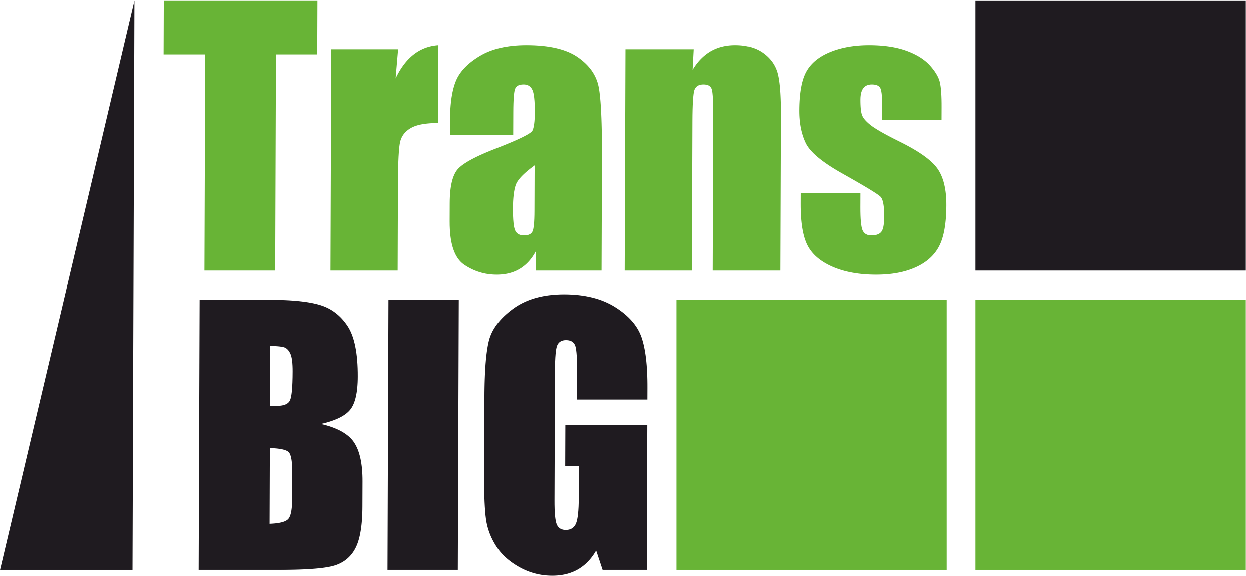 TransBIG.pl
